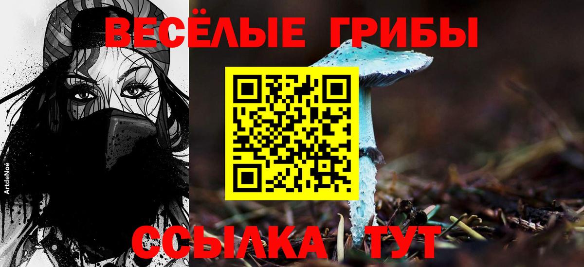Тельмана  Галлюциногенные грибы Psilocybine cubensis  Вход с VPN  Галлюциногенные грибы мицелий 